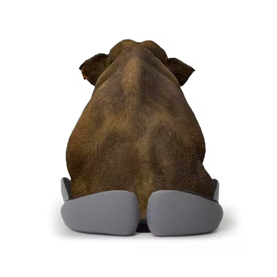 Cojín de asiento glúteos coxis cadera ciática isquiotibiales