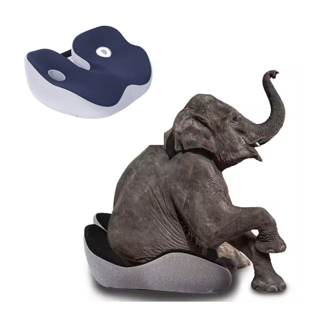 Cojín de asiento glúteos coxis cadera ciática isquiotibiales