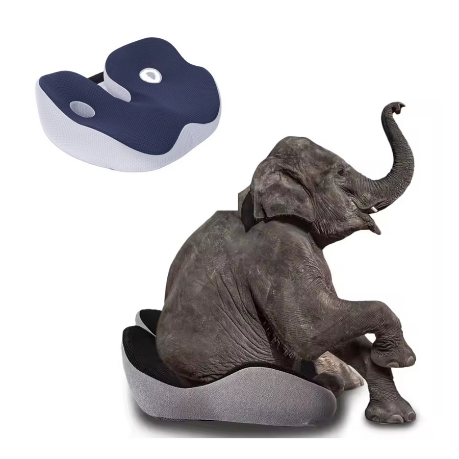 Cojín de asiento glúteos coxis cadera ciática isquiotibiales