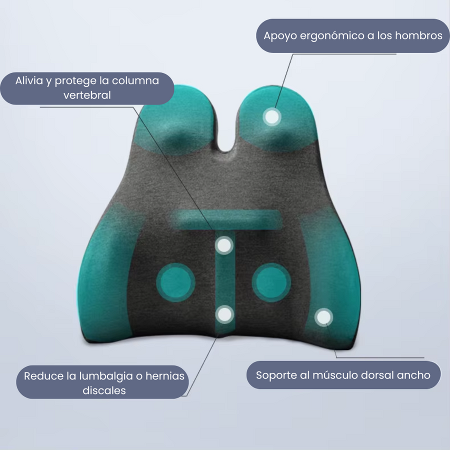 Cojín Espalda Premium Alta Gama Corrector Lumbar Silla Auto
